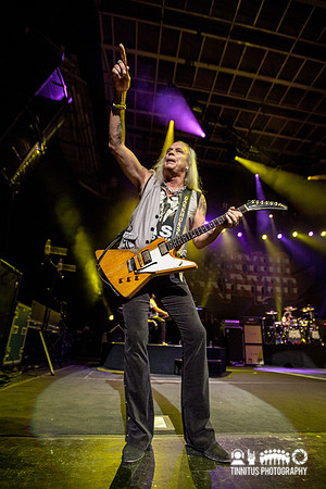 Lynyrd Skynyrd in concert