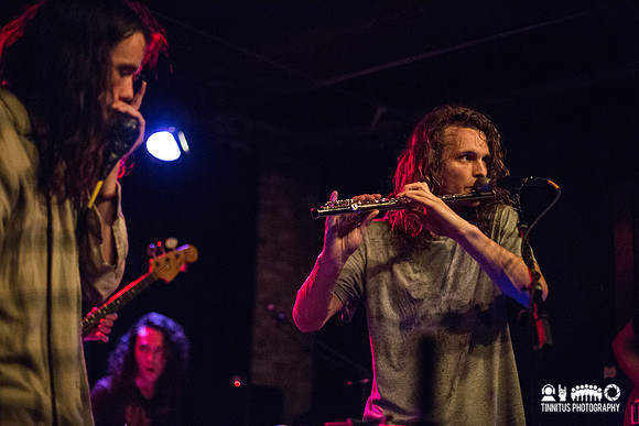 King Gizzard and the Lizard Wizard in concert
