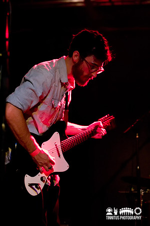 Woods in concert