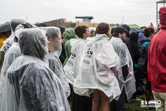 Fans at Newport Folk Fest