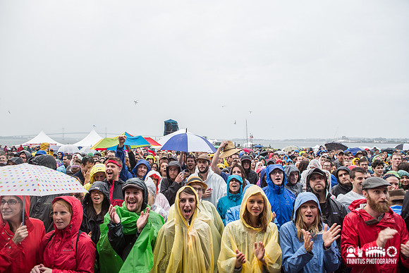 Fans at Newport Folk Fest