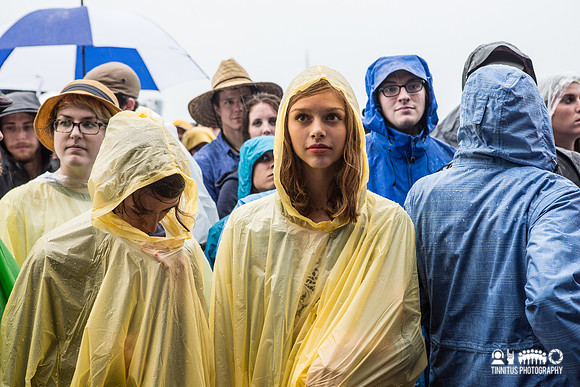 Fans at Newport Folk Fest