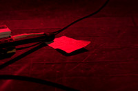 Woods in concert