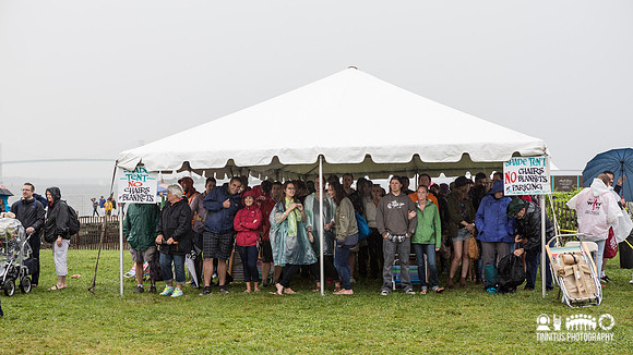 Fans at Newport Folk Fest