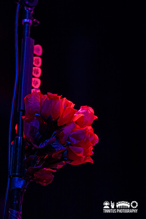 Grace Potter and The Nocturnals in concert