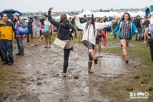 Fans at Newport Folk Fest