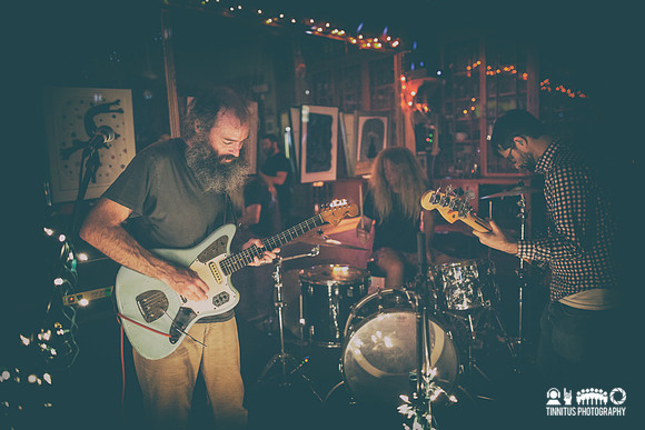 Feral Ohms in concert