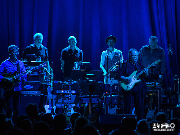 Steely Dan in concert