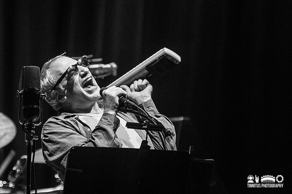 Steely Dan in concert