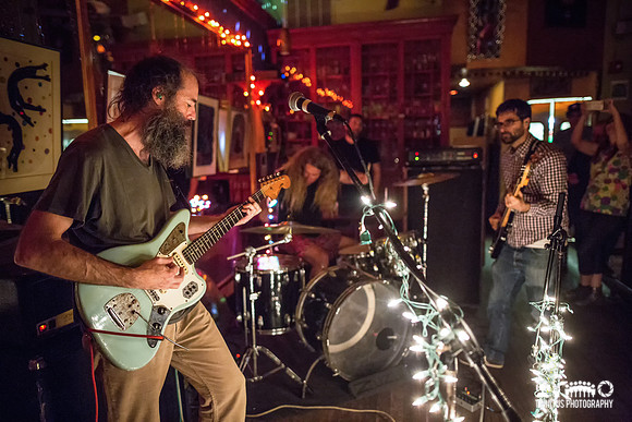 Feral Ohms in concert