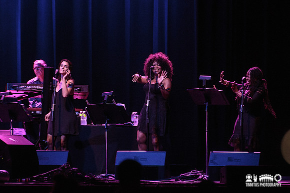 Steely Dan in concert