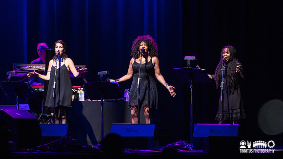 Steely Dan in concert