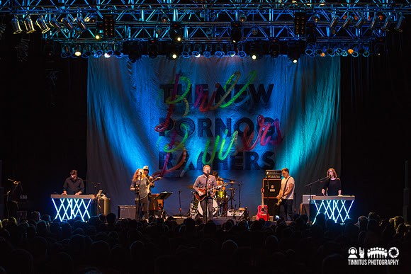 The New Pornographers in concert
