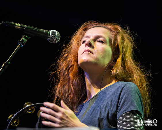 The New Pornographers in concert