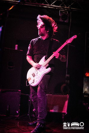 Six Organs Of Admittance in concert