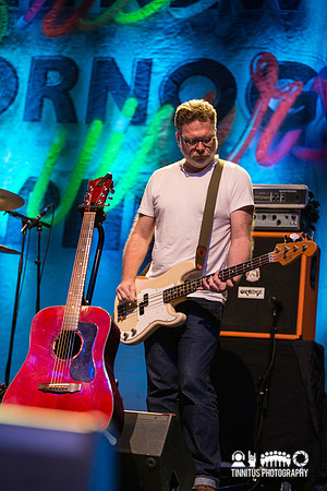 The New Pornographers in concert