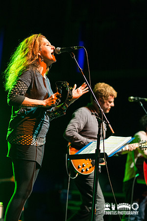 The New Pornographers in concert