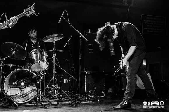Six Organs Of Admittance in concert
