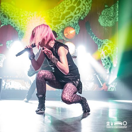 Garbage in concert