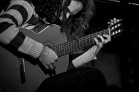 Musk Ox in concert