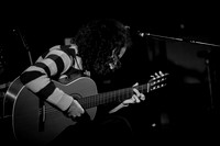 Musk Ox in concert