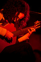 Musk Ox in concert