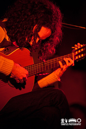 Musk Ox in concert