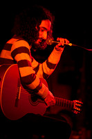 Musk Ox in concert