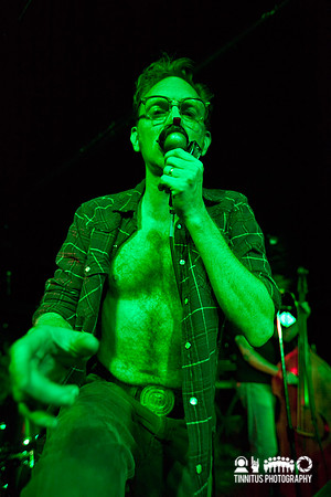 The Legendary Shack Shakers in concert