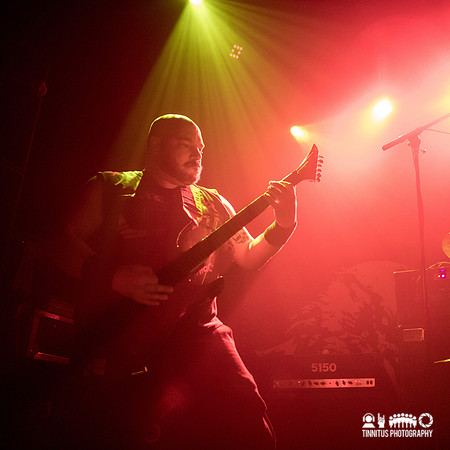 Sangus in concert