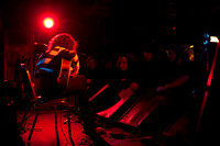 Musk Ox in concert