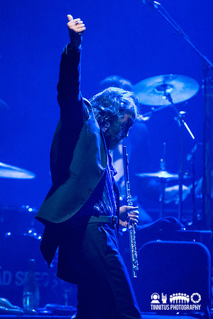 Nick Cave and The Bad Seeds in concert