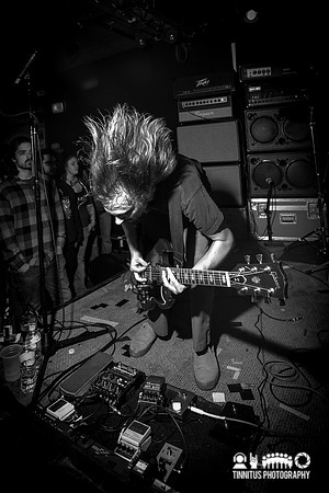 Pelican in concert