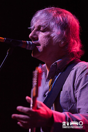 Lee Ranaldo in concert