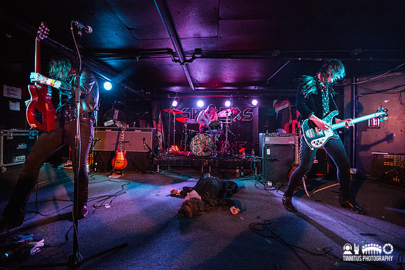Spiders in concert