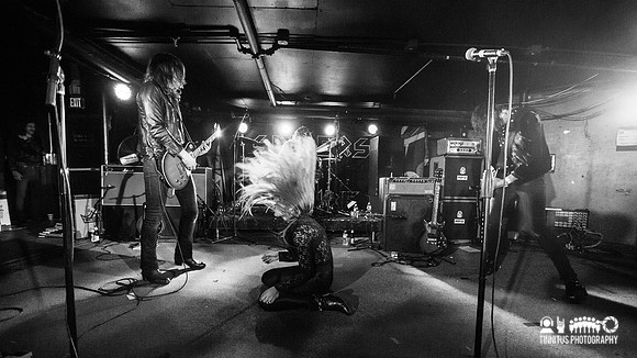 Spiders in concert