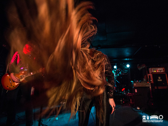 Spiders in concert