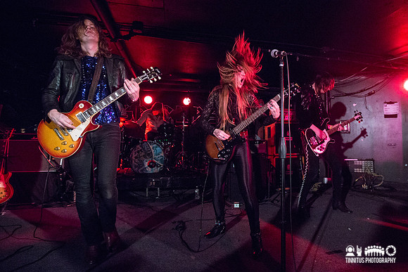 Spiders in concert
