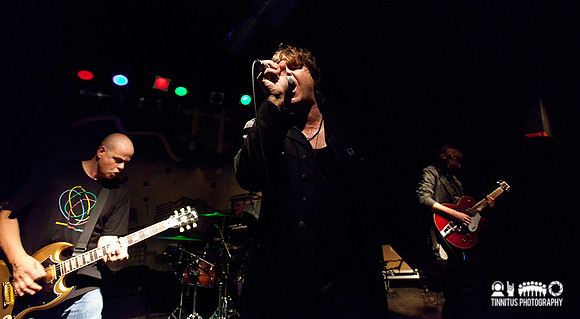 ChameleonsVox in concert