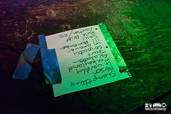 ChameleonsVox in concert