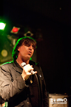 ChameleonsVox in concert