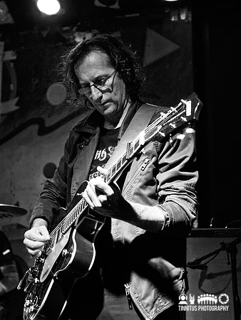 ChameleonsVox in concert