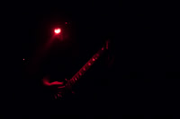 Celéste in concert