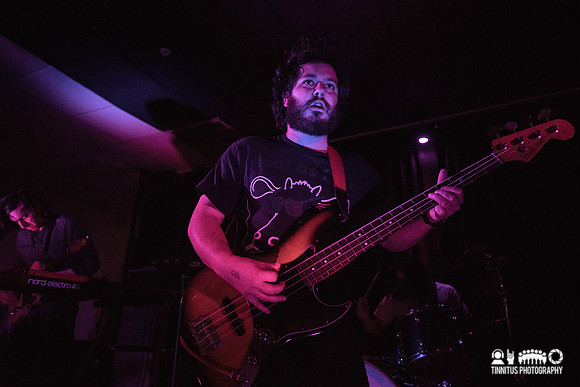Elder in concert