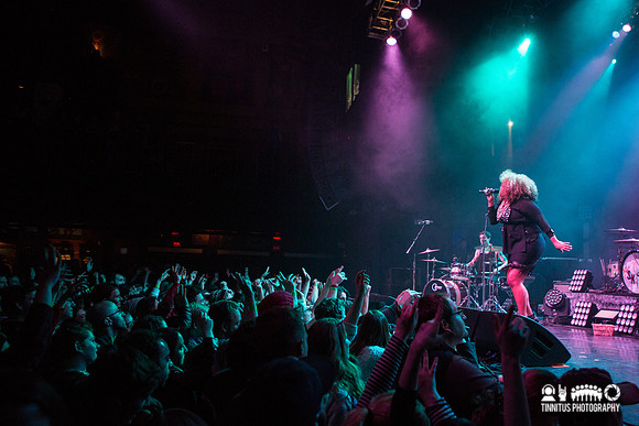 Lizzo in concert