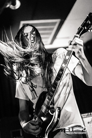 Elder in concert