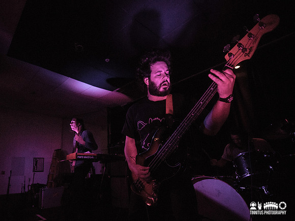 Elder in concert