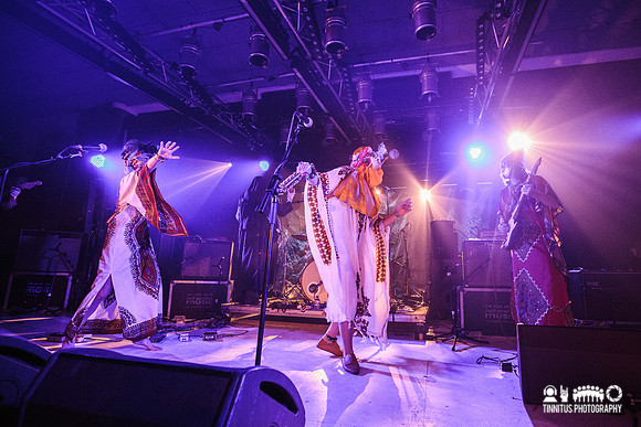 Goat in concert