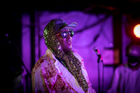 Dr. Octagon in concert