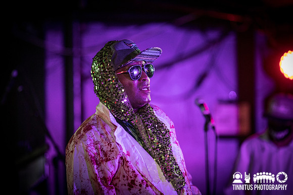 Dr. Octagon in concert